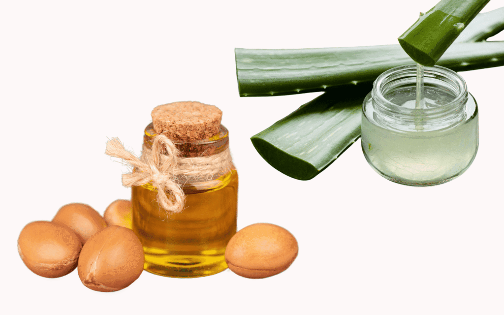 Illustration of aloe vera and argan oil