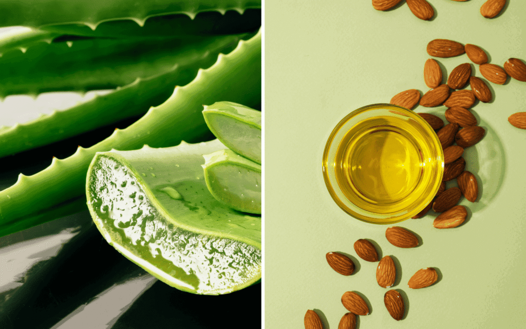 Illustration of aloe vera and almond oil