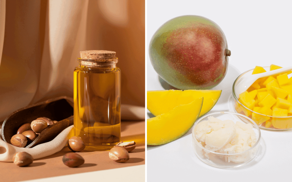 Illustration of mango seed butter and argan oil