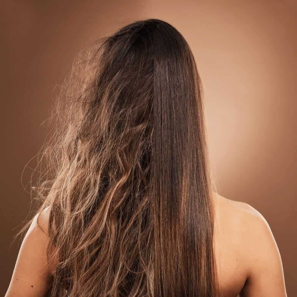 Backview of long hair with half frizzy and the other half smooth. argan oil vs jojoba oil
