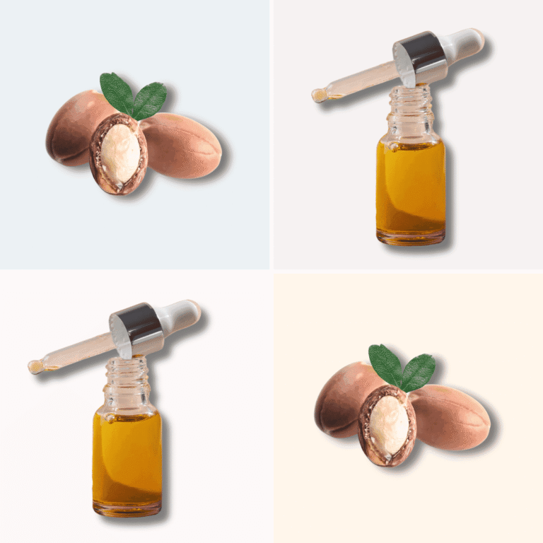 illustration of oil and argan oil nuts. Argan oil vs Jojoba oil concept