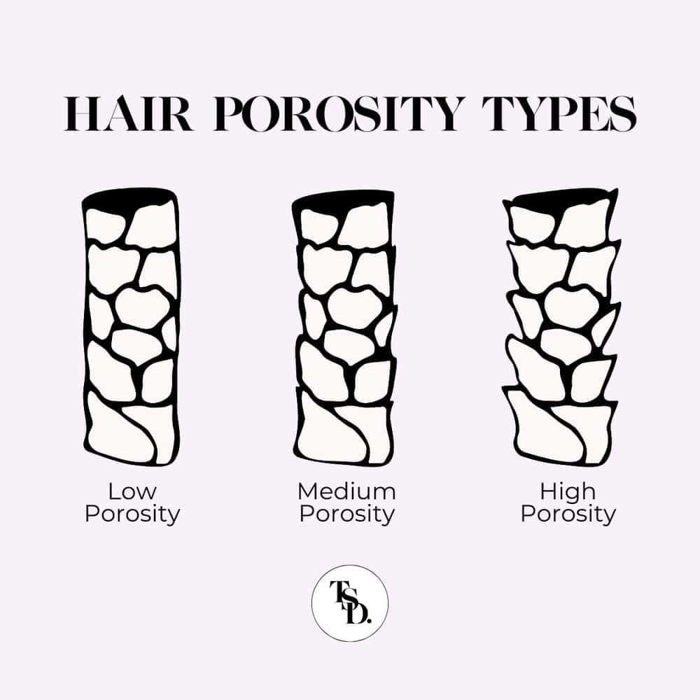 Hair Porosity Types Illustration. Does Low porosity hair need protein
