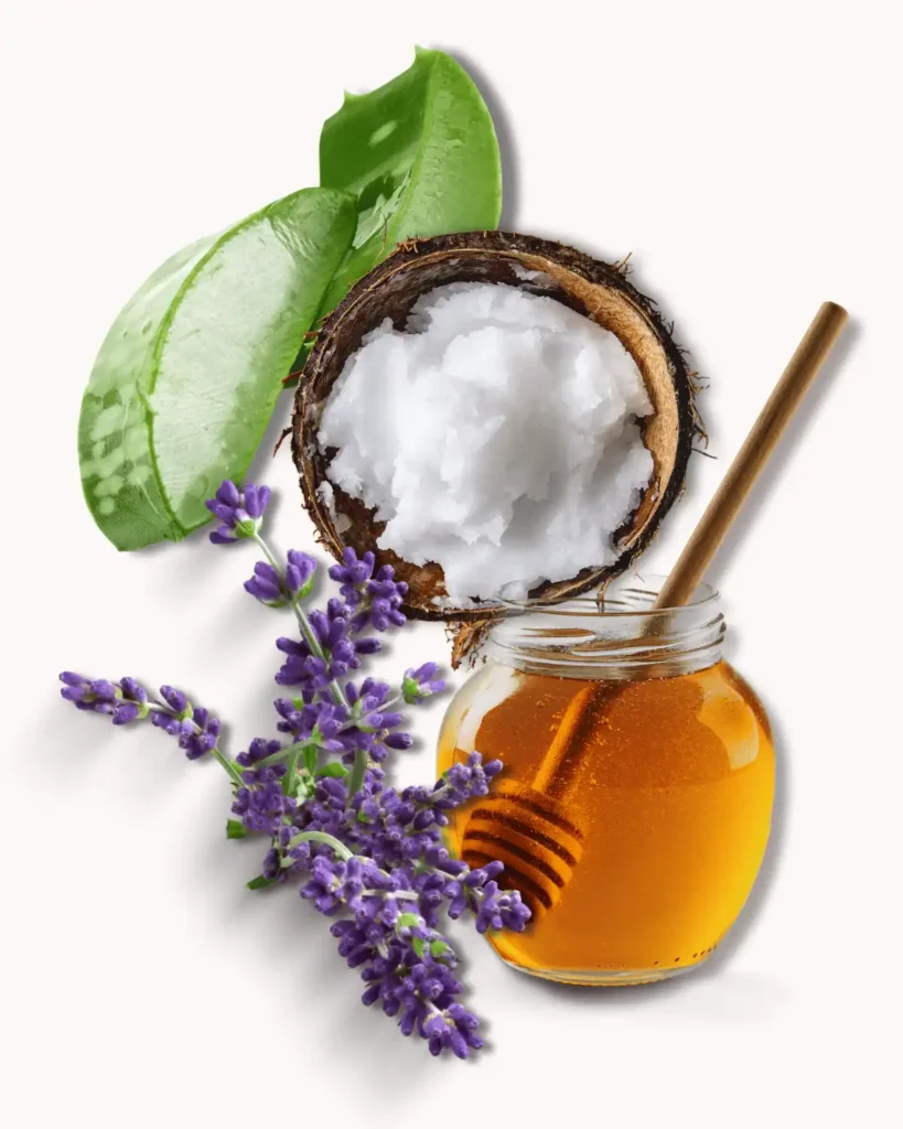 aloe vera and honey recipe