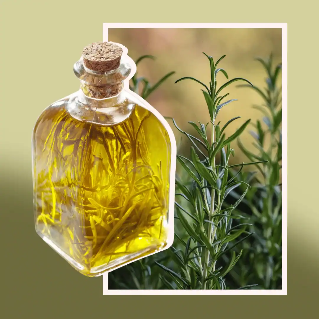 How To Make Homemade Rosemary Oil
