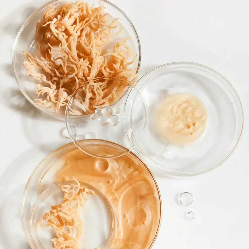 DIY Sea Moss Face Mask Recipes