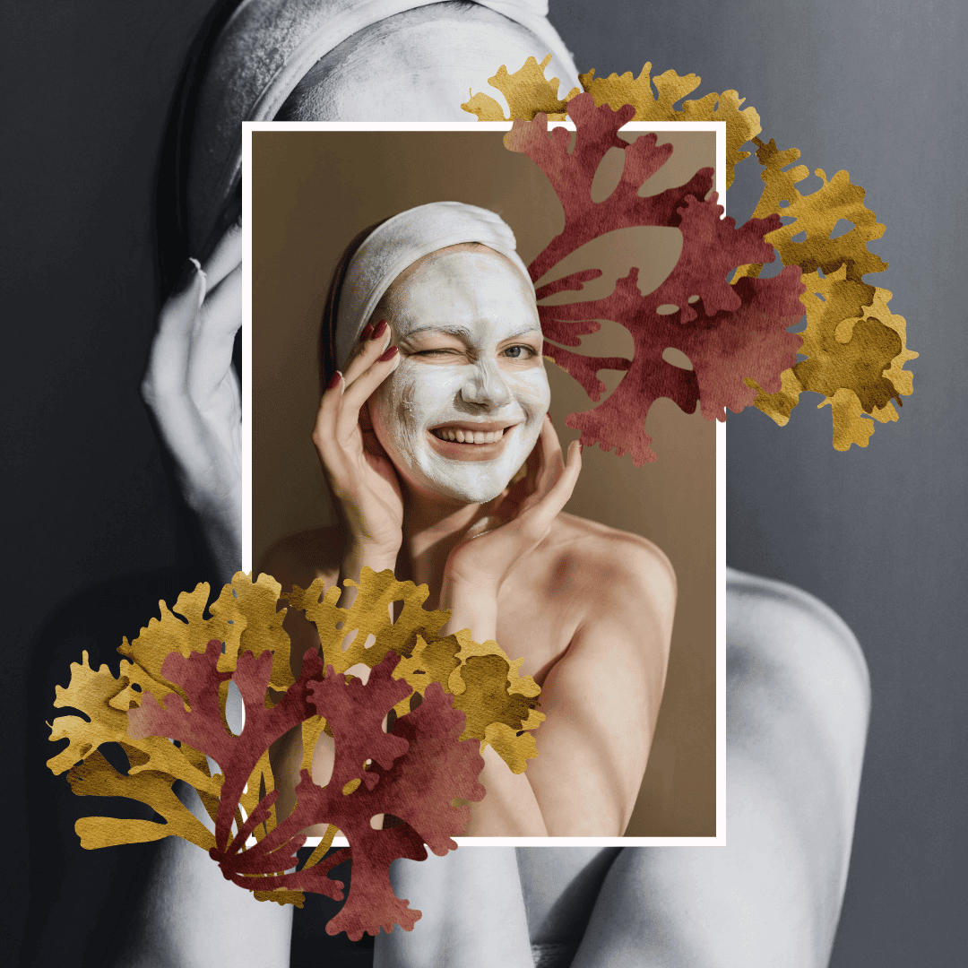 DIY sea moss face mask recipes