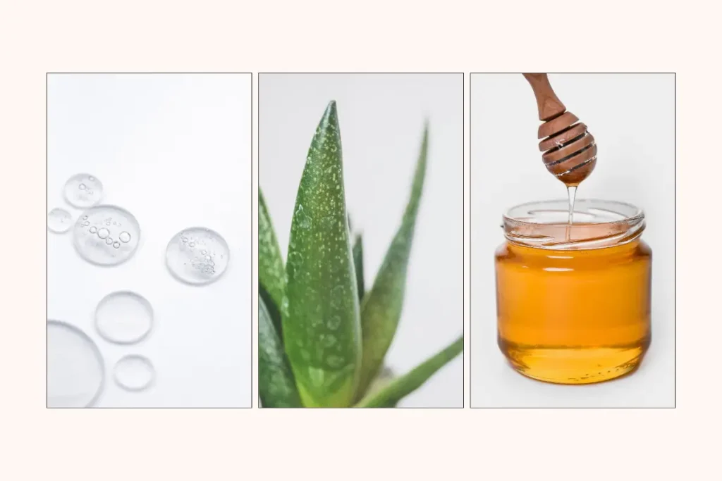 Three natural skincare ingredients side by side: clear glycerin droplets on a white surface, a close-up of a fresh aloe vera plant, and golden honey dripping from a wooden dipper into a glass jar